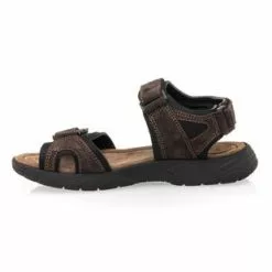 Trek Stone Sandales / Nu-pieds Homme Marron -Baskets / Sneakers Soldes 01W015133D