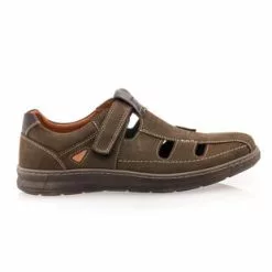 Softland Sandales / Nu-pieds Homme Marron