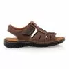 Softland Sandales / Nu-pieds Homme Marron -Baskets / Sneakers Soldes 01W037264A