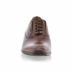 Pierre Cardin Chaussures De Ville Homme Marron -Baskets / Sneakers Soldes 01W044691C